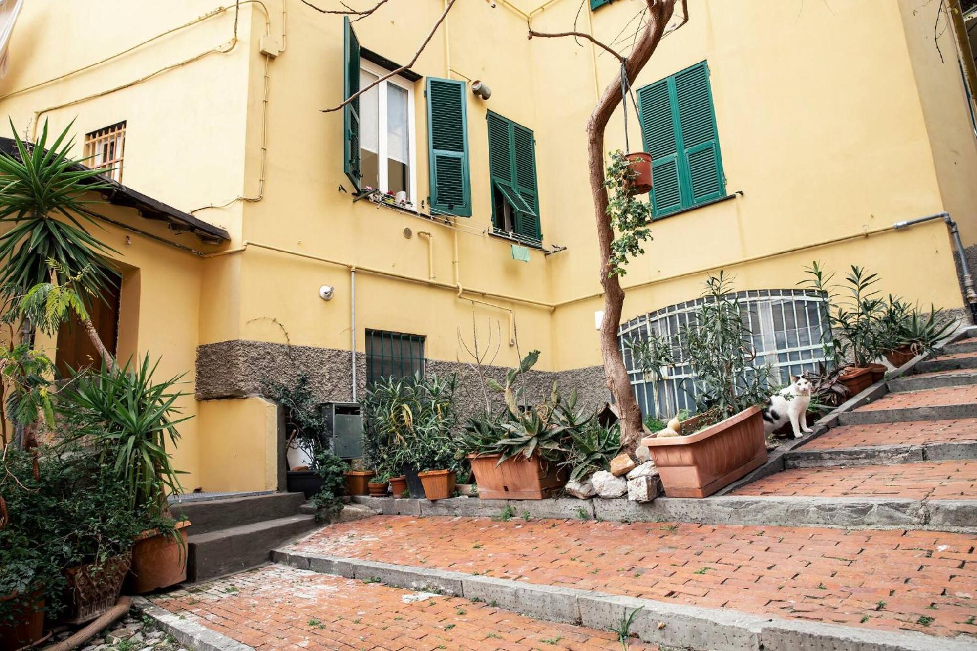 Patty S Home Genoa Luaran gambar